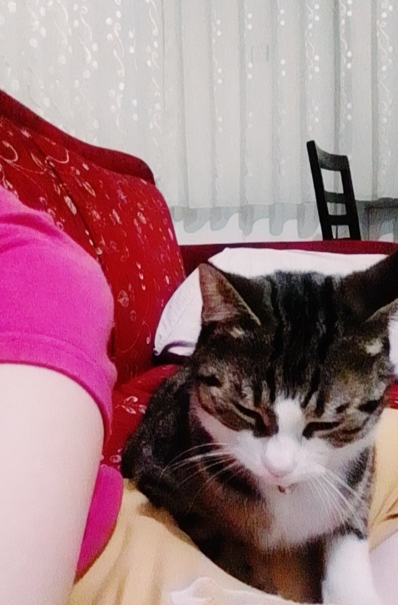 Hilmi