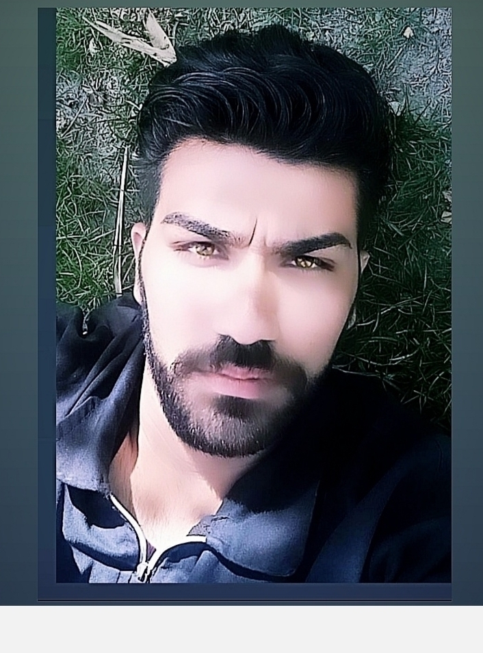 حامد