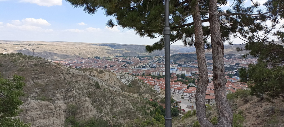 Murat