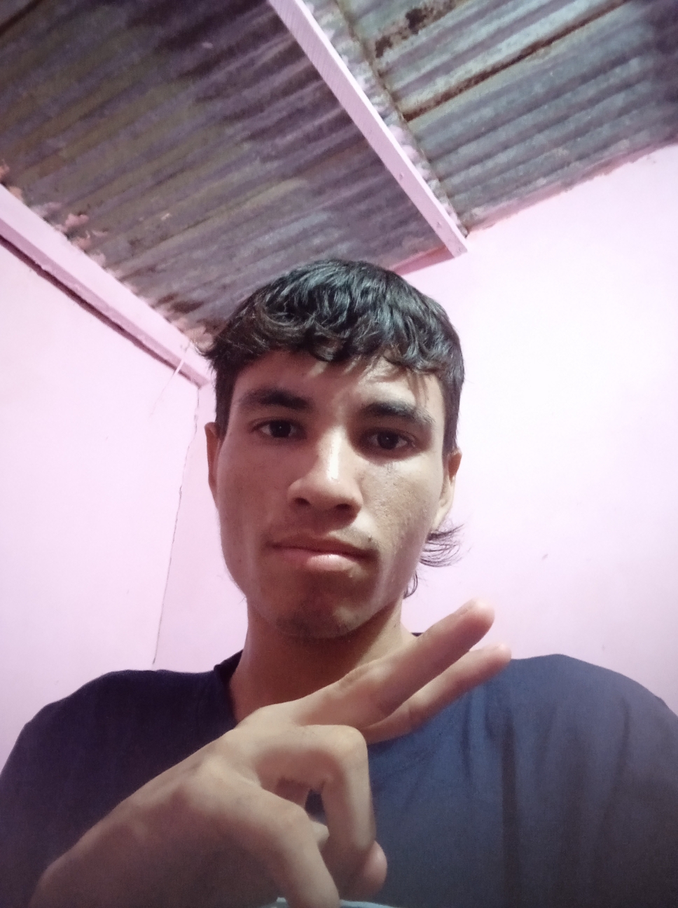 Moisés