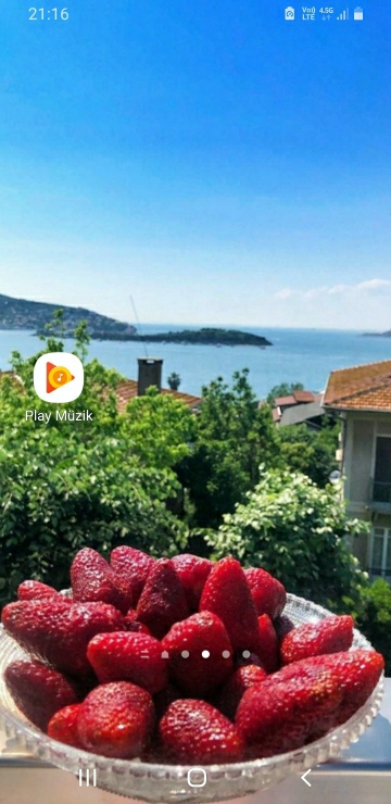 Fehmi