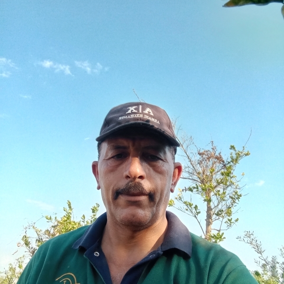 محمود