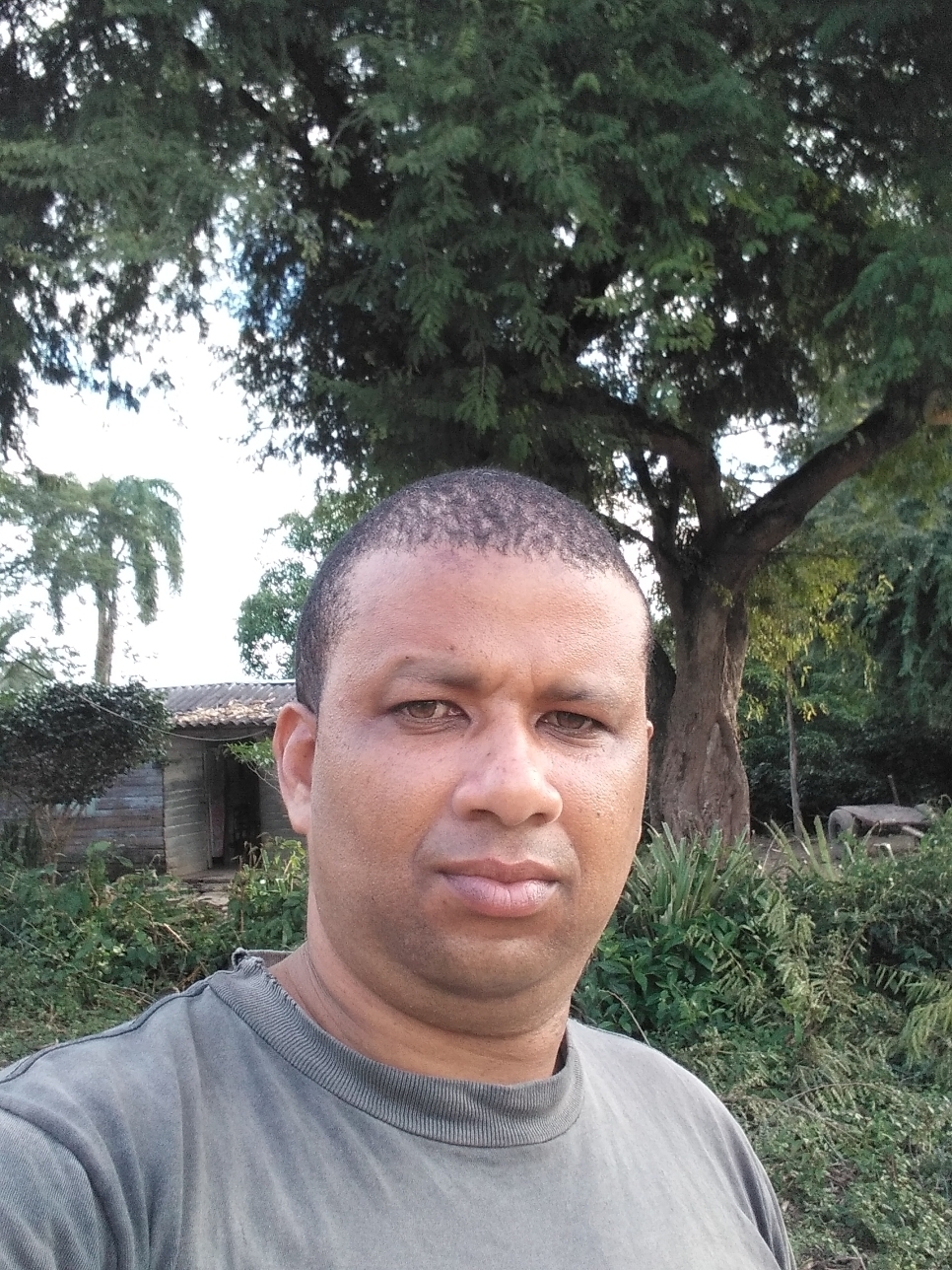 Edinel