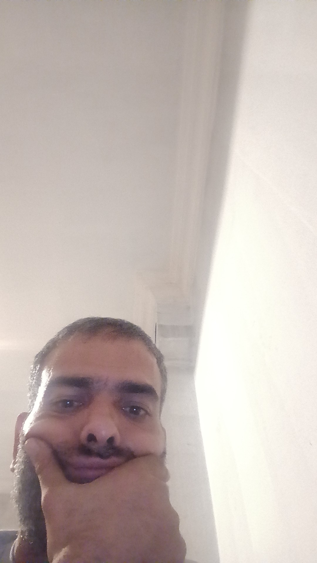 Mesutesim