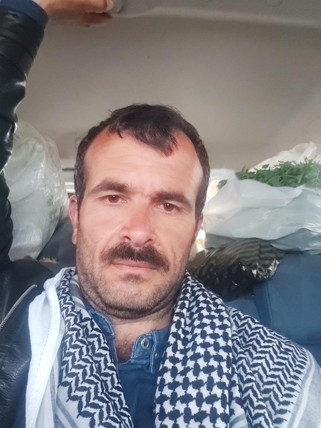 Mahmut