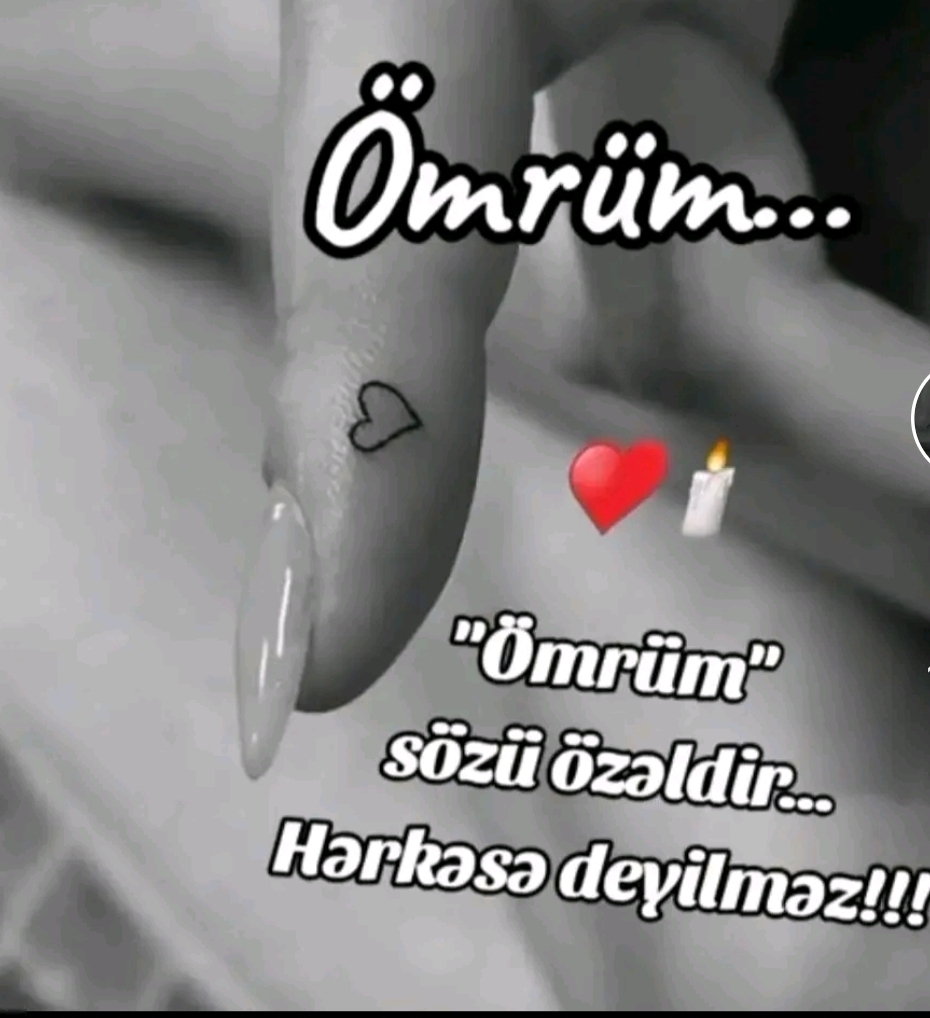 Aysel