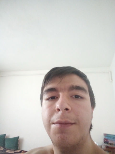 Mücahit