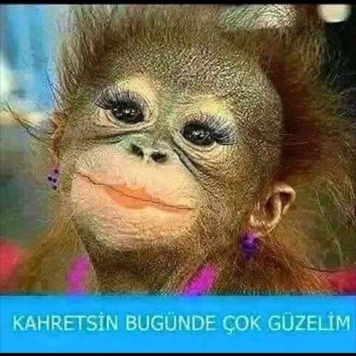 Göksu