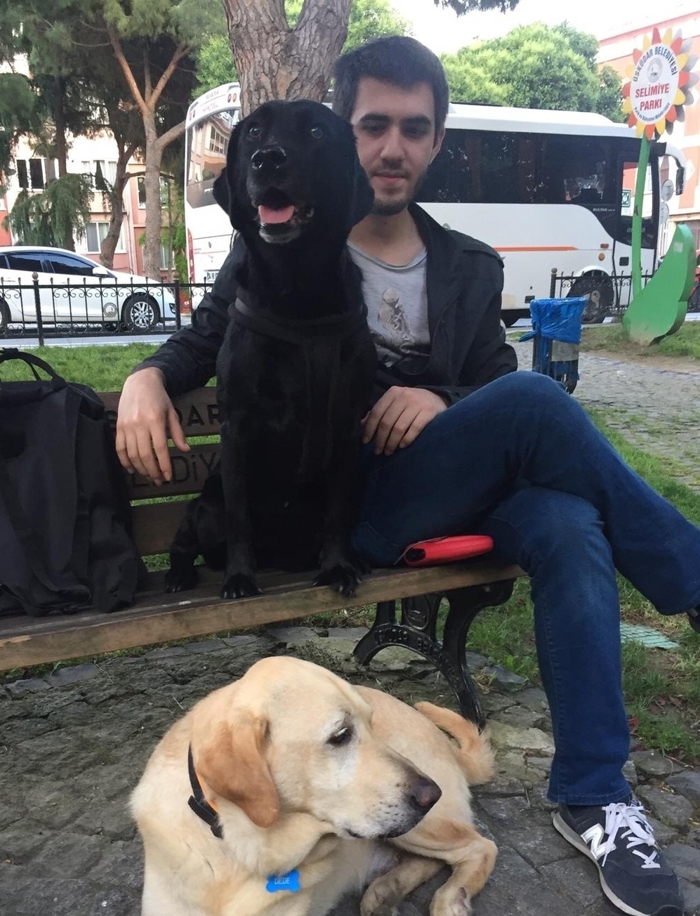 Tandogan