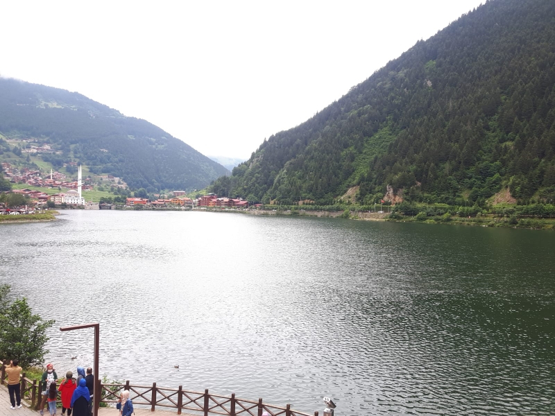 Bozkurt