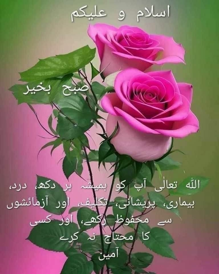 Iftqar