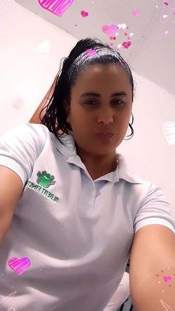 Vanisse