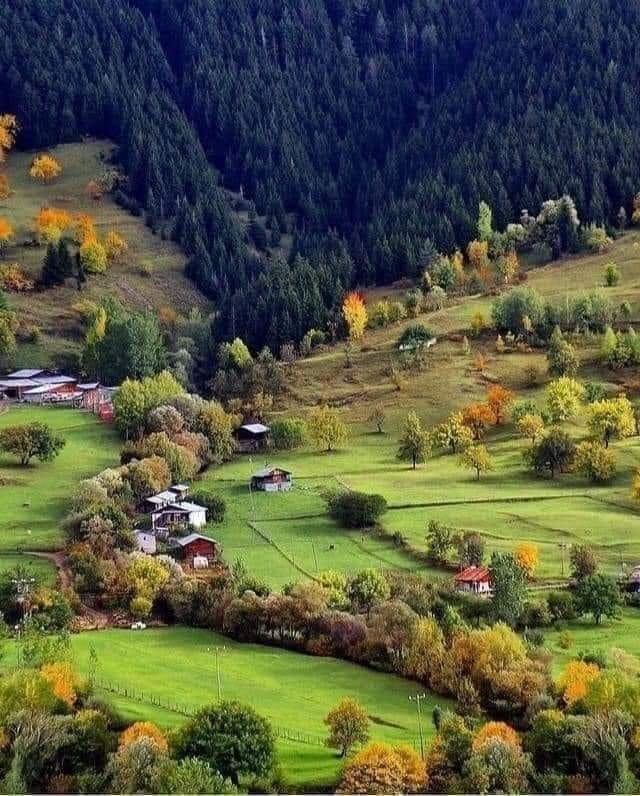 Mehtap