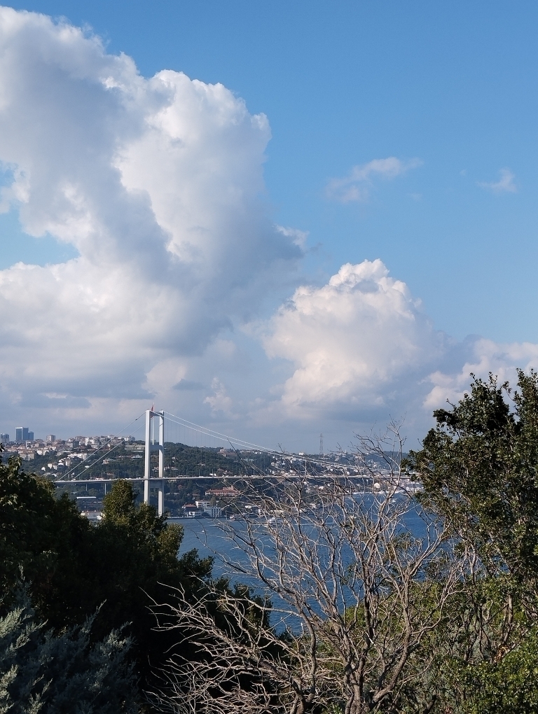 Selen