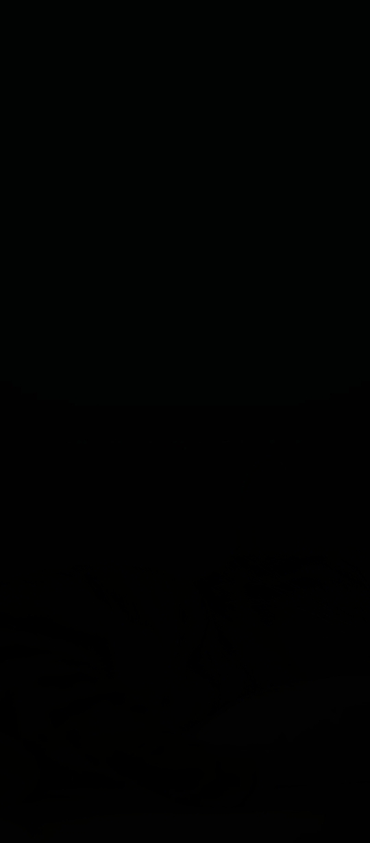 Egemen