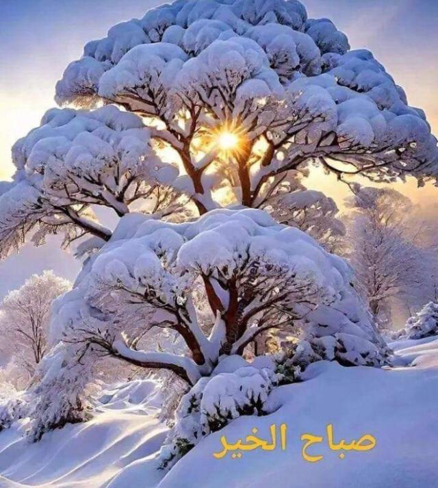 Kassem