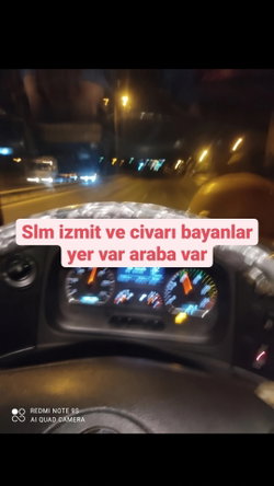 Doğan