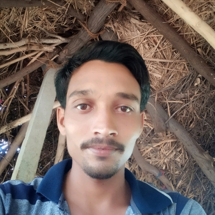 Pandhri