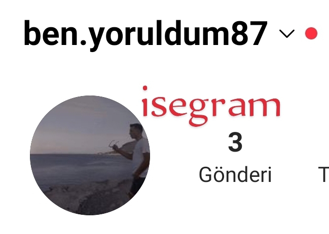 Engin