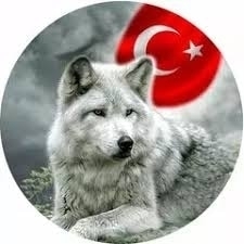 Fırtına