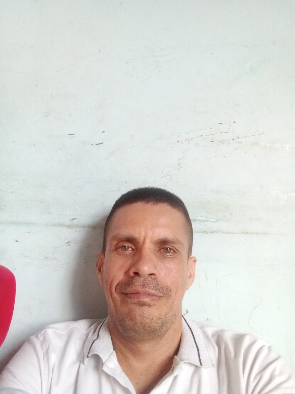 Fredy