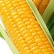 منيف