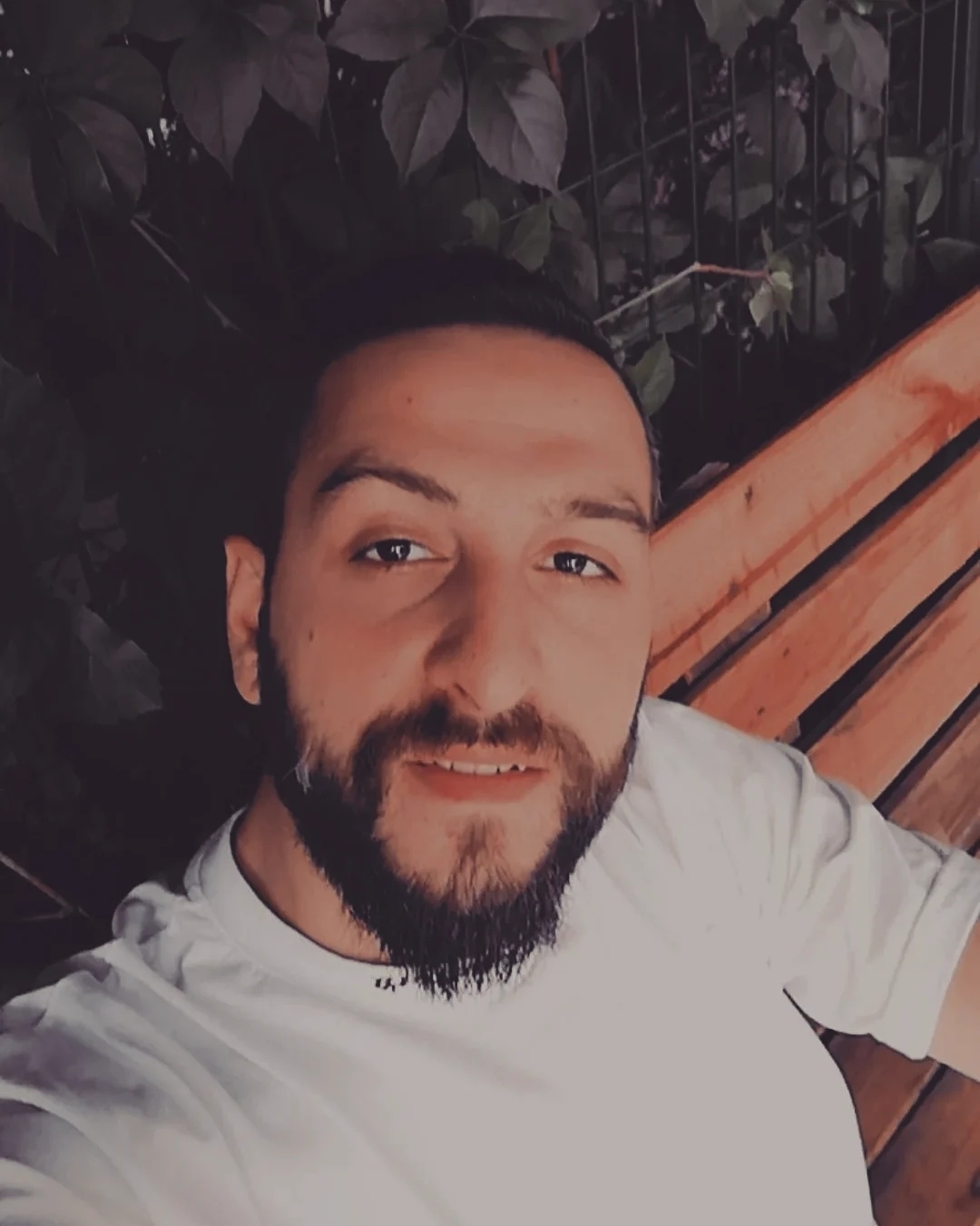 Barış
