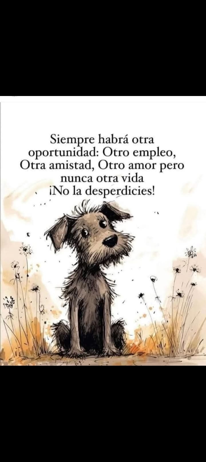 Corina