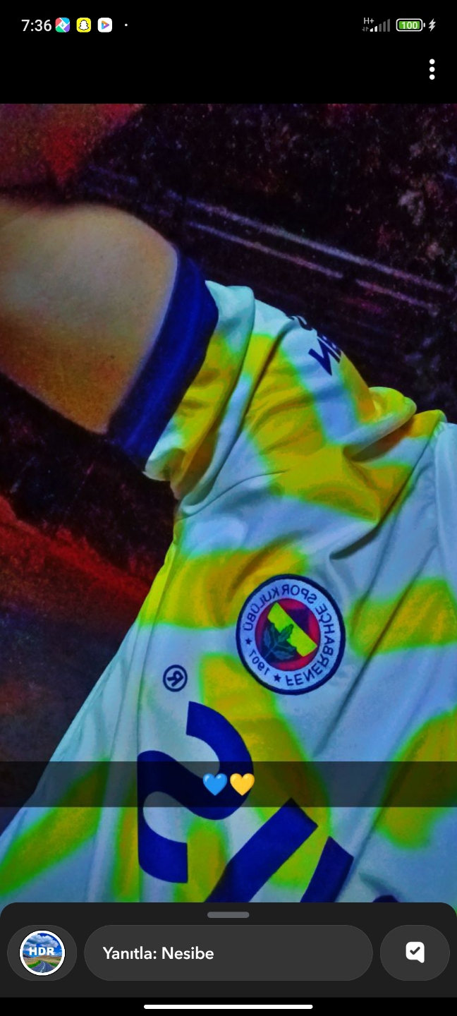 Caner