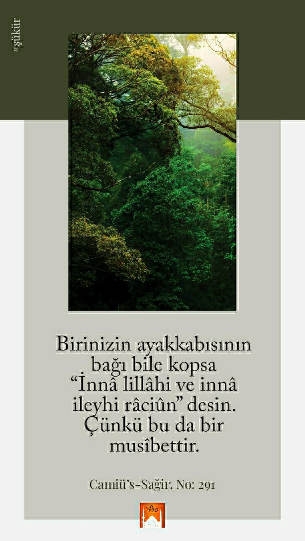 Hulusi