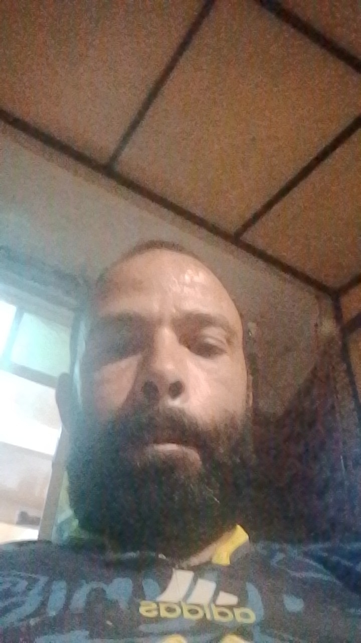 Mohammedfes