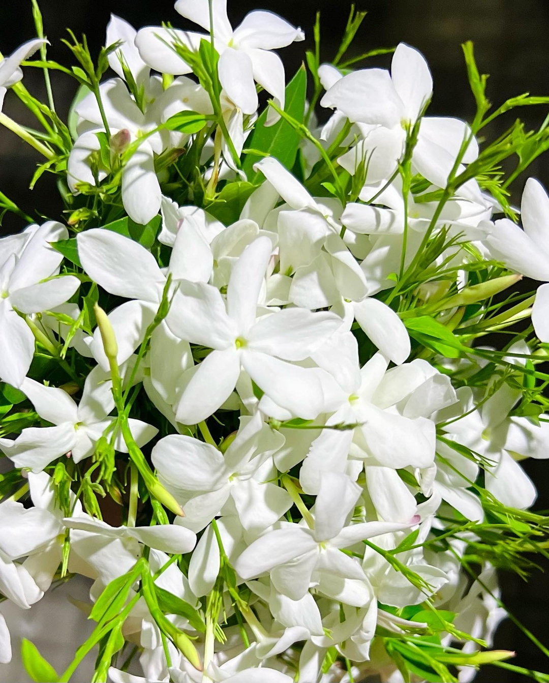 نعمة