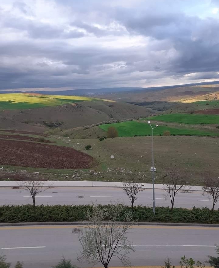 Aliye