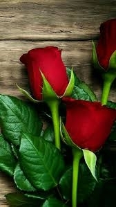 Simge
