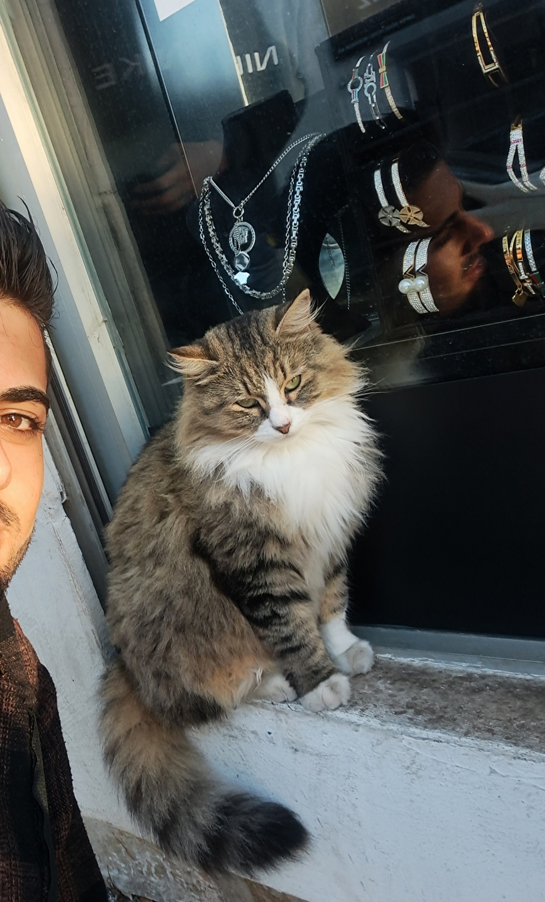 Volkan