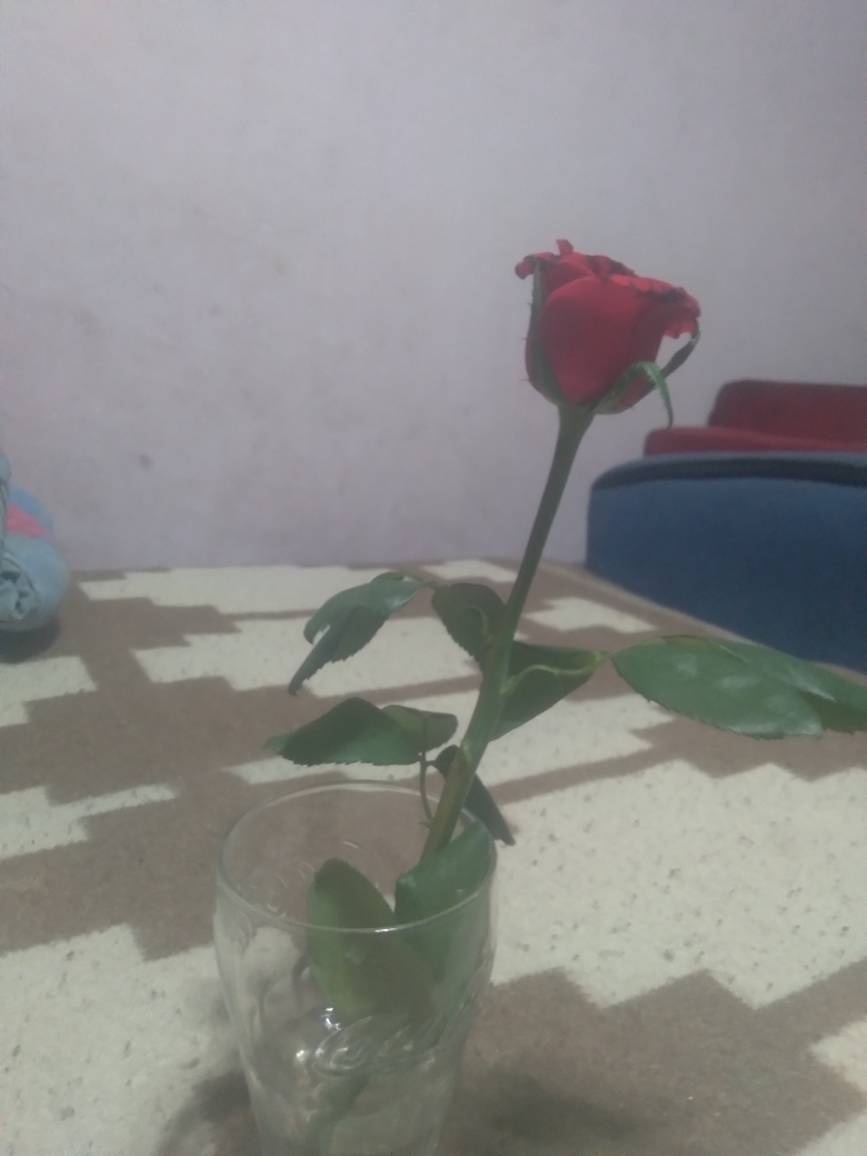 Sinem