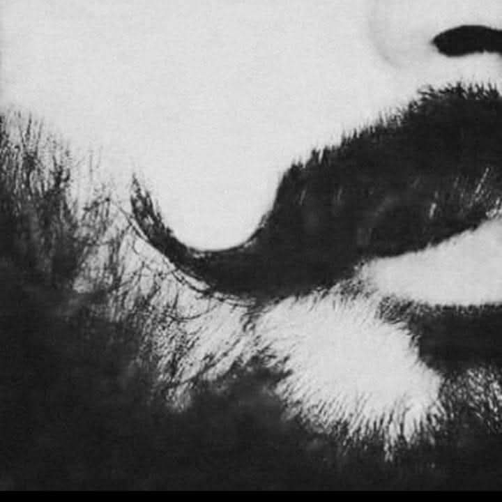 محمد