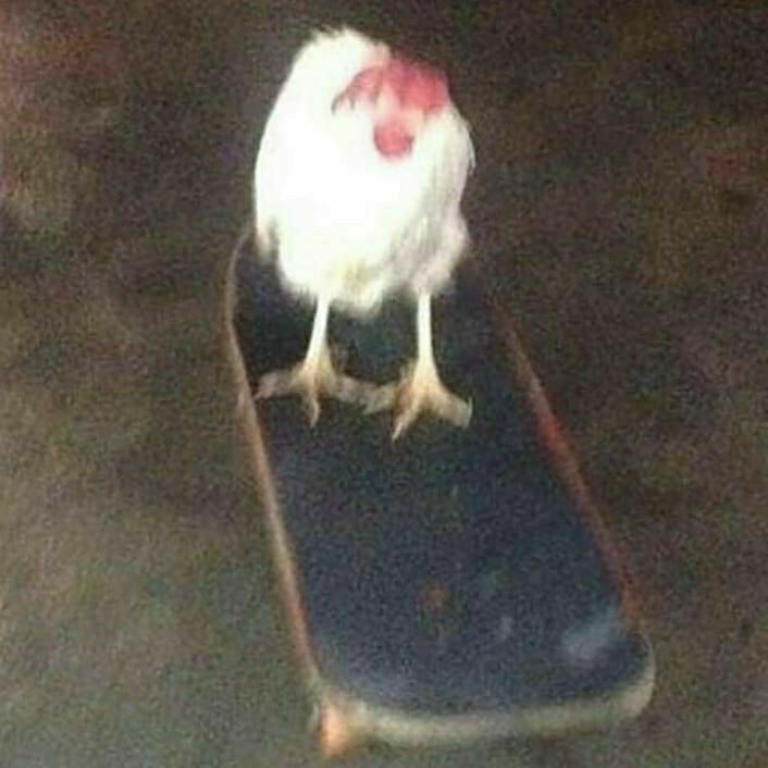 UvU