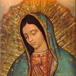Katia