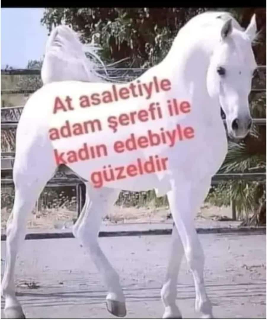 Muhsin