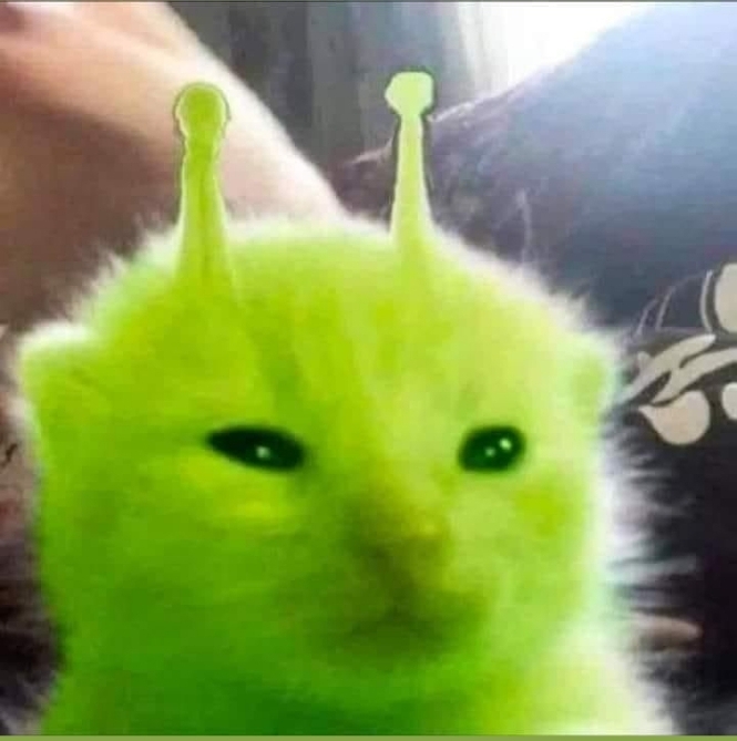 Michayla