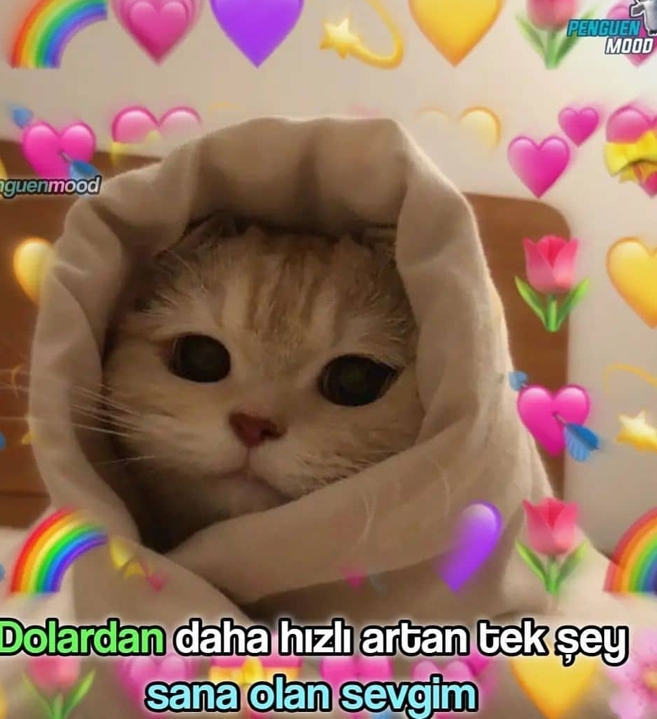 Aygul