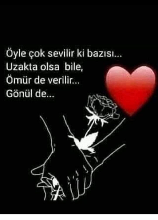 Aynur