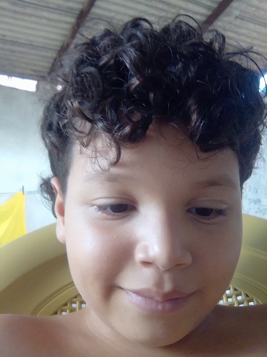 Pipito
