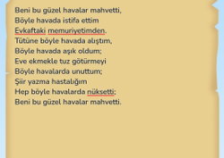 Göktürk