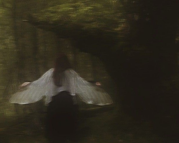 Fairy