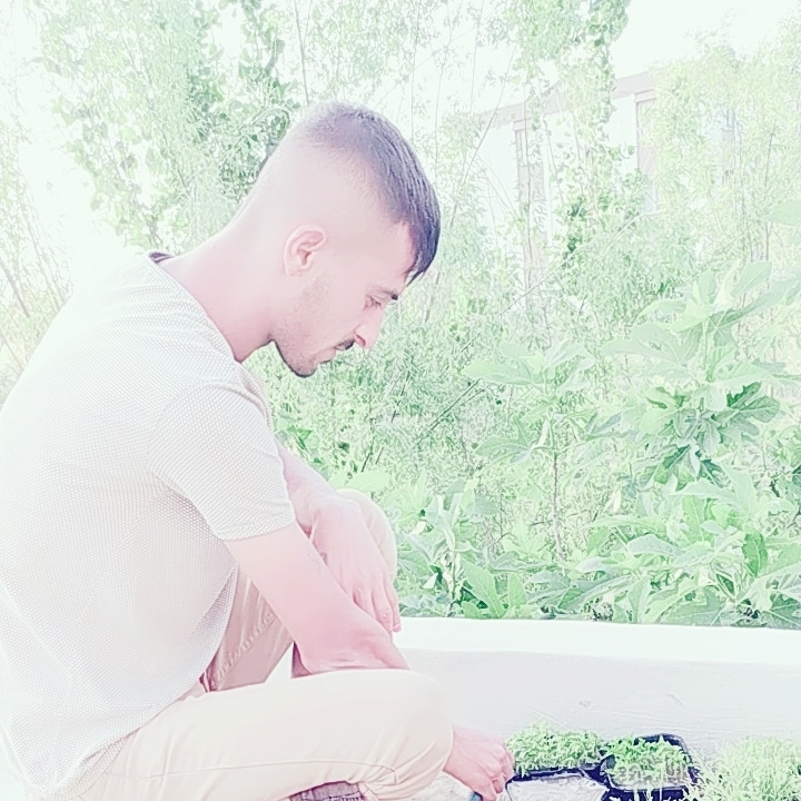 Selim