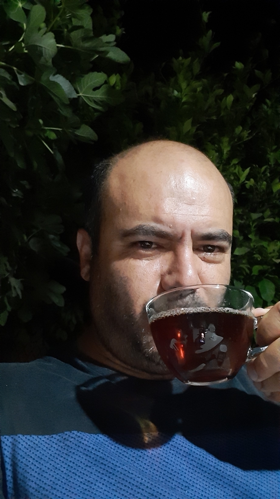 Şahin