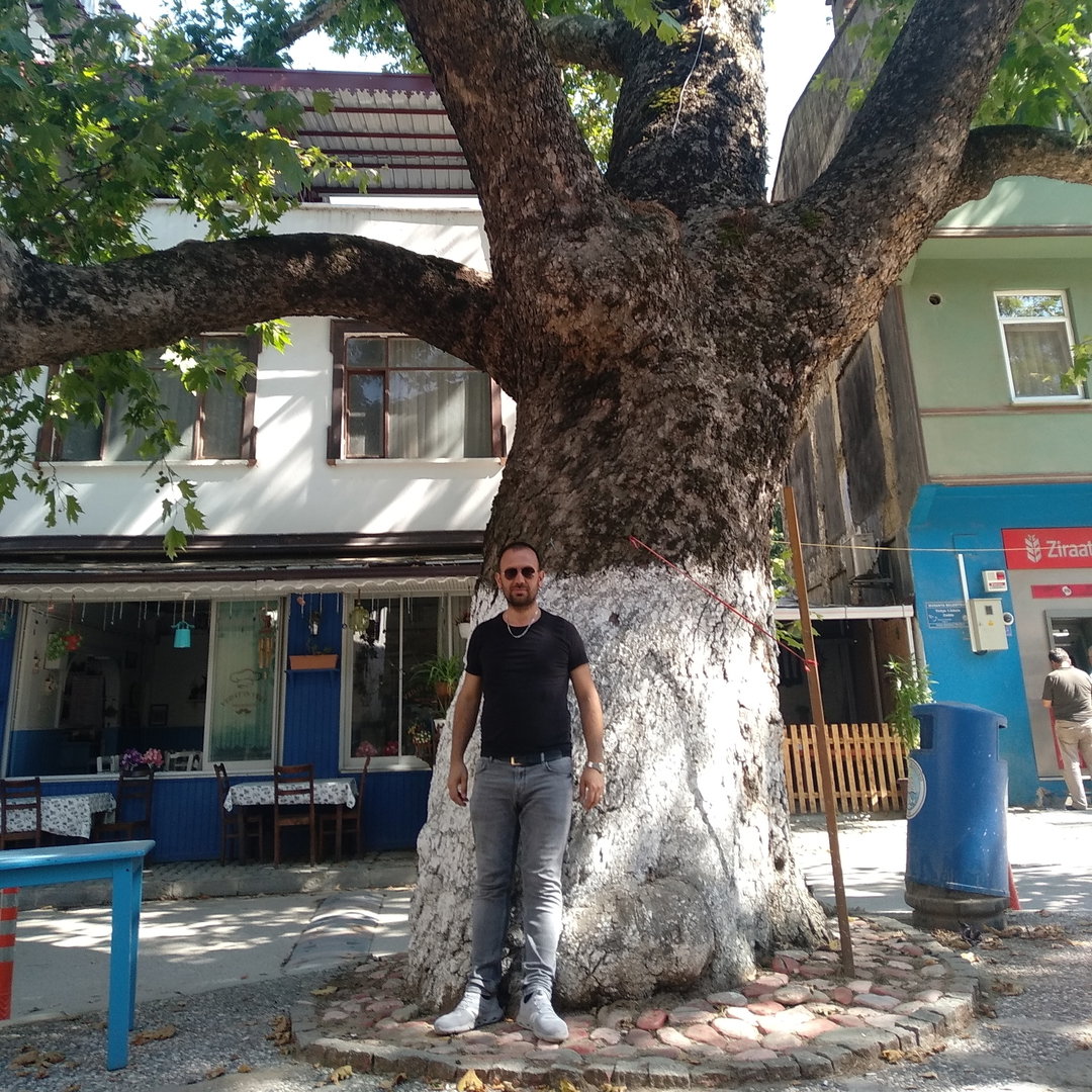 Aşkın