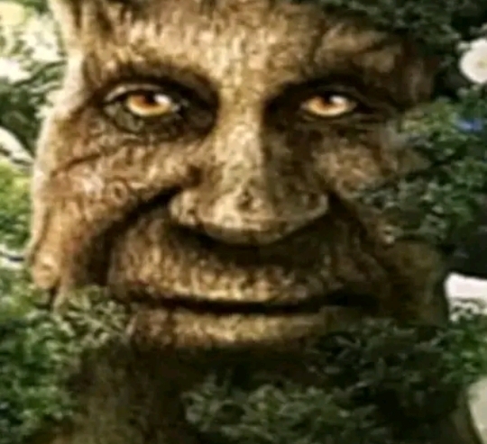 Henrique